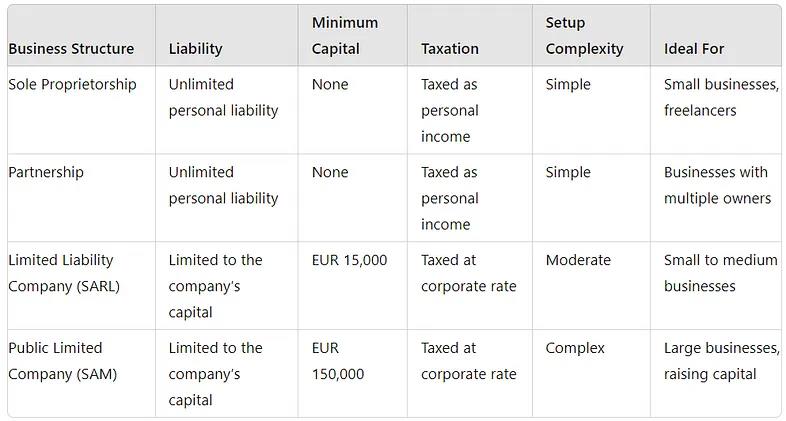 Company Structures Overview In Monaco