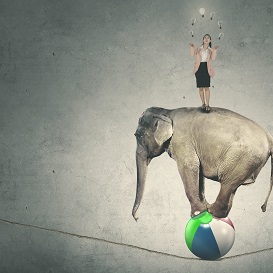 The Importance of Storytelling in Online Sales + Solution